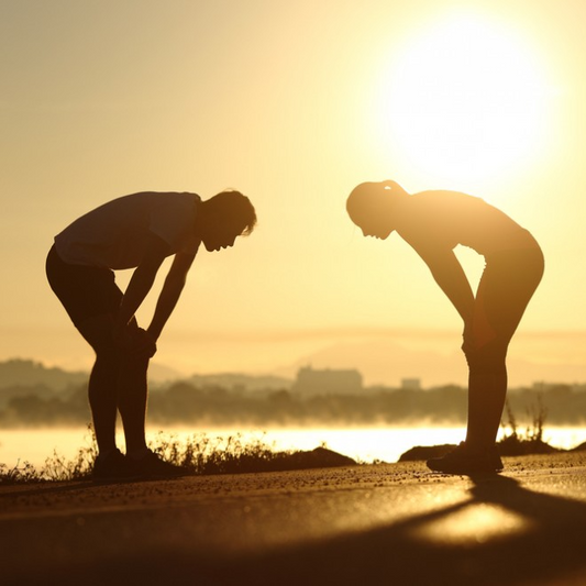 The planet wants fewer heat-related illnesses: MistBuddy is meeting the challenge