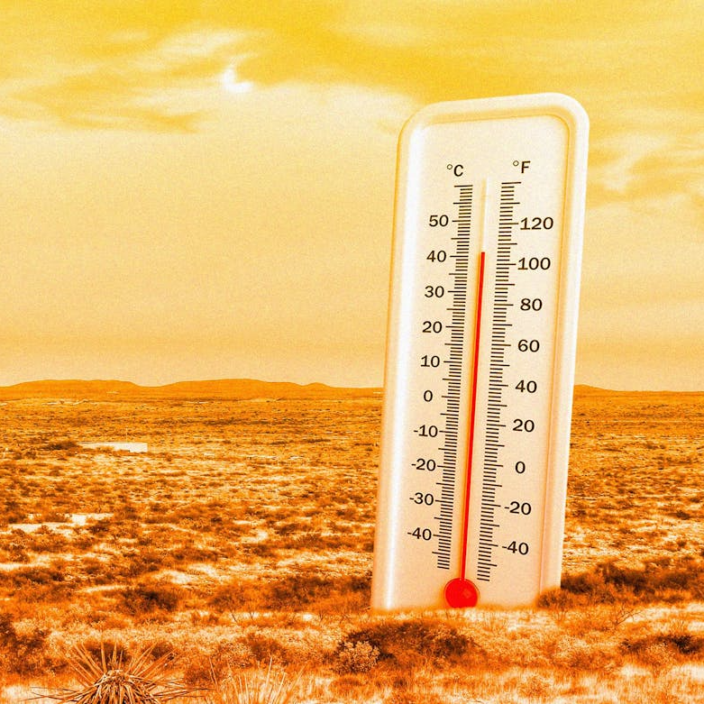 If you live in a hot, dry climate with scorching summer heat, you need a MistBuddy