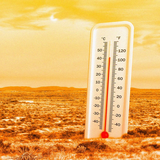 If you live in a hot, dry climate with scorching summer heat, you need a MistBuddy