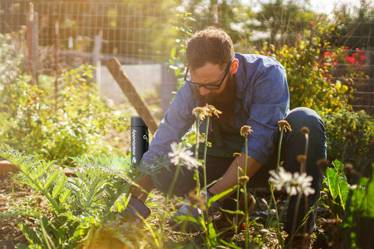 Eco-friendly cooling: How MistBuddy supports sustainable living